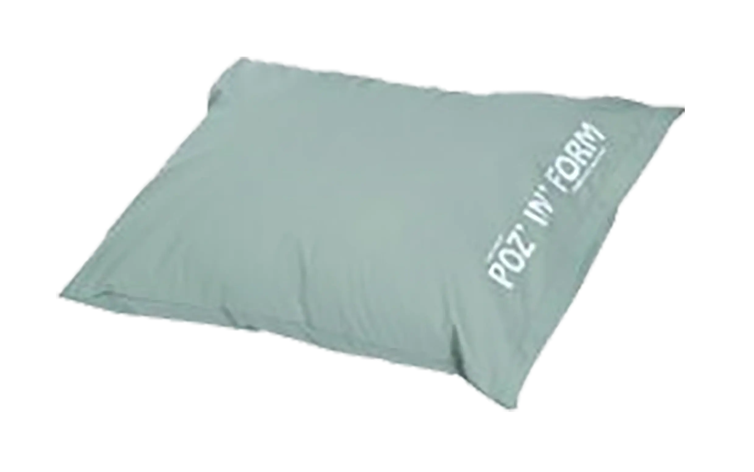 webp-Poz-in-form-universal-cushion-1