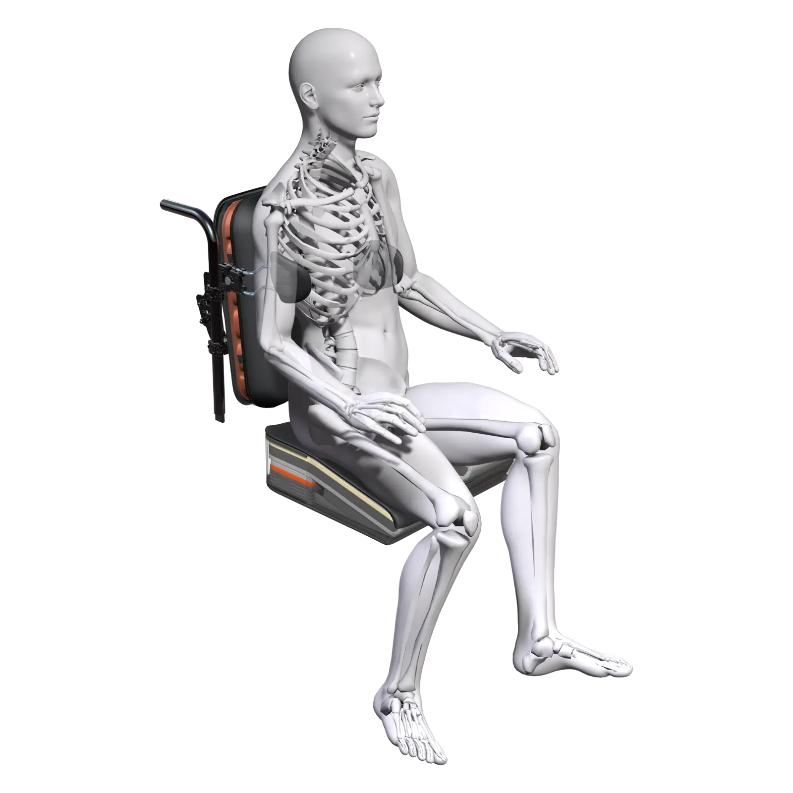 webp-Spex-Flex-Render-Model-A1-medium-1