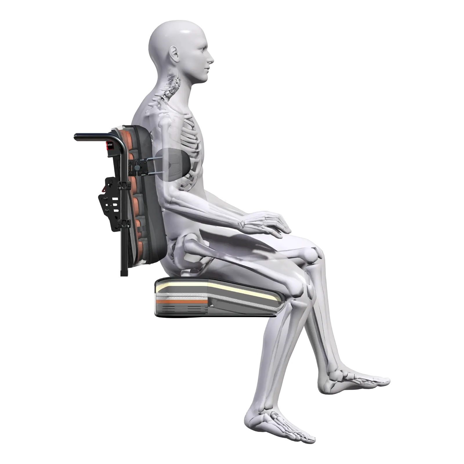 webp-Spex-Flex-Render-Model-A2-medium-1