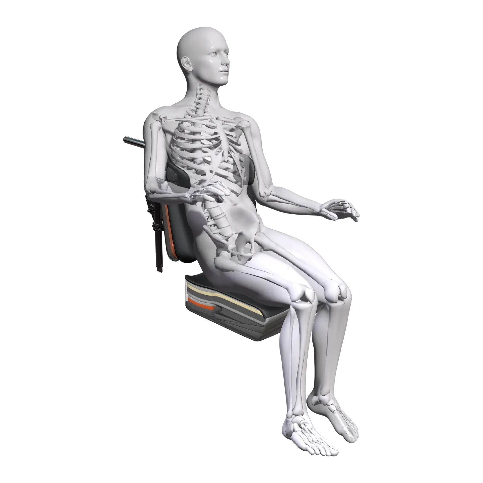 webp-Spex-Flex-Render-Model-B1-medium-1