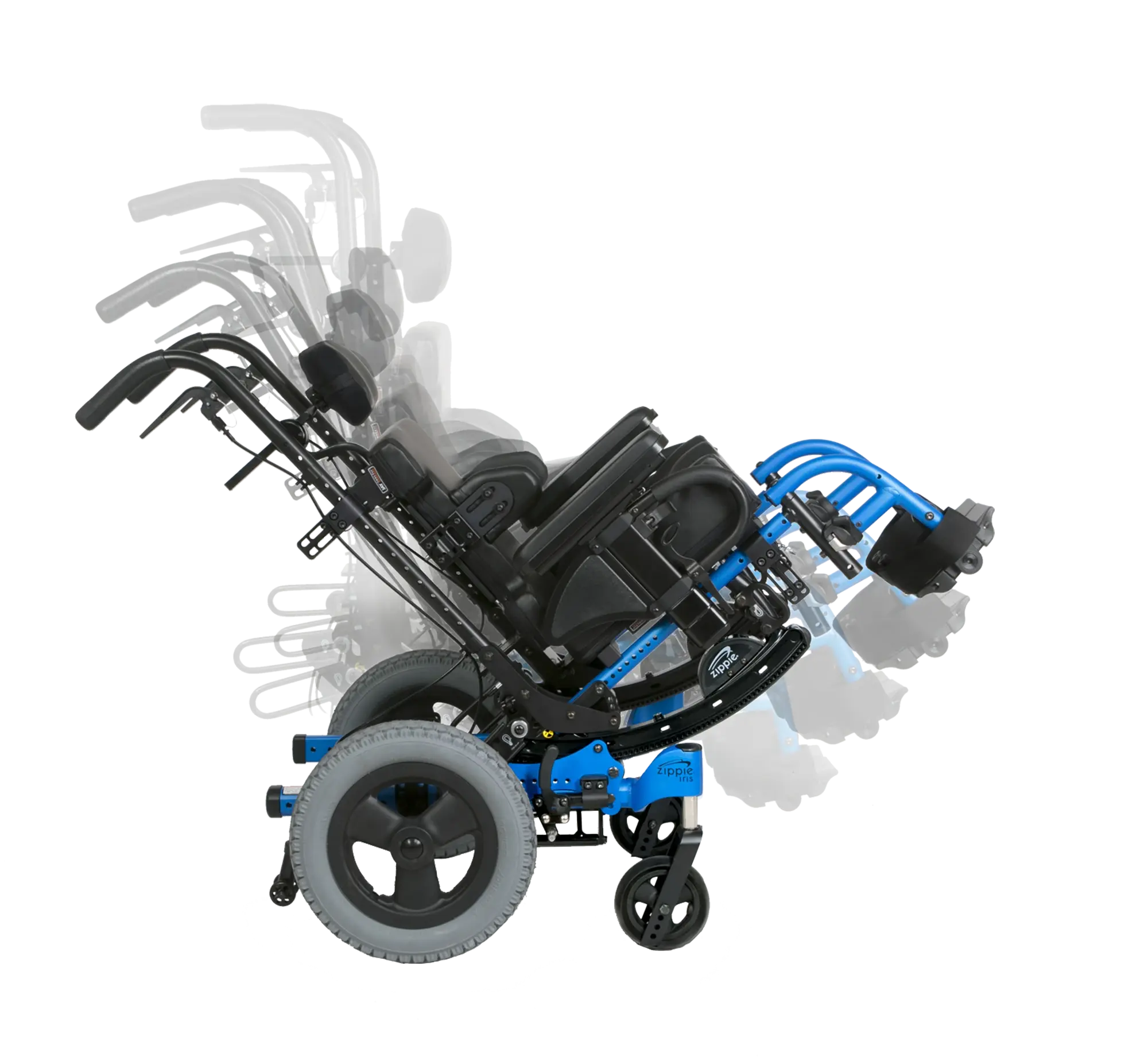 webp-Zippie-Iris-1-1-1