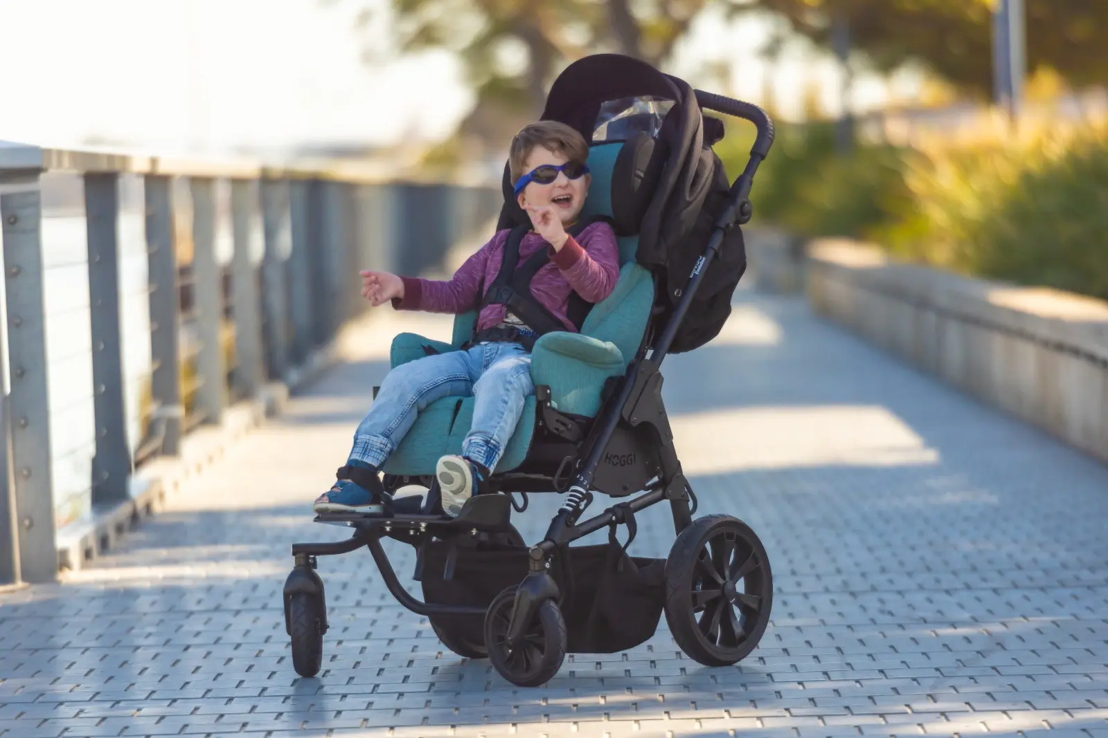 Robbie-Bingo-Evo-Stroller-User-21