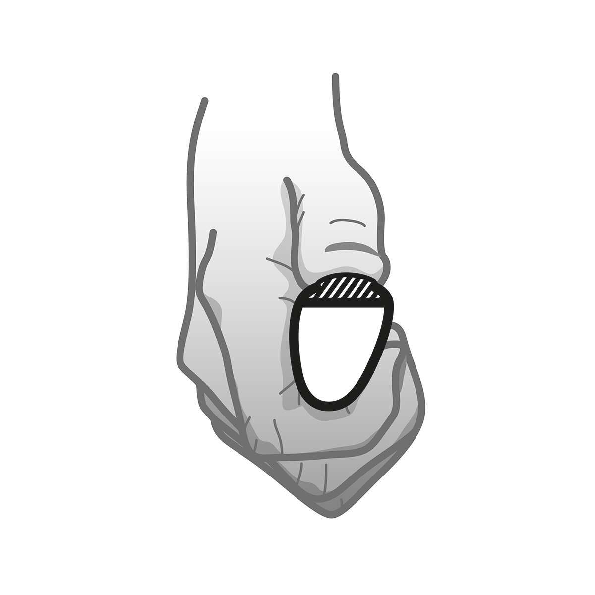 Sketch of human hand in a fist position, showing the ergonomics of grasping the Carbolife GEKKO Wheelchair Rim.
