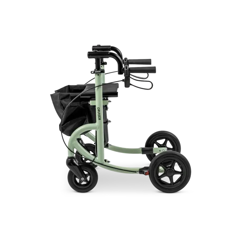 Hoggi-Cruiser-Size-2-3-Shadows-small