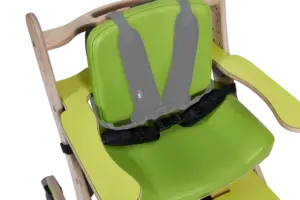 Zoomi-Belt_Harness-Ghosted-1-300x200