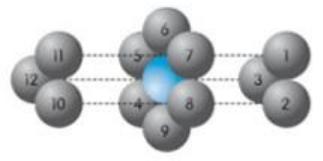 microbead-1