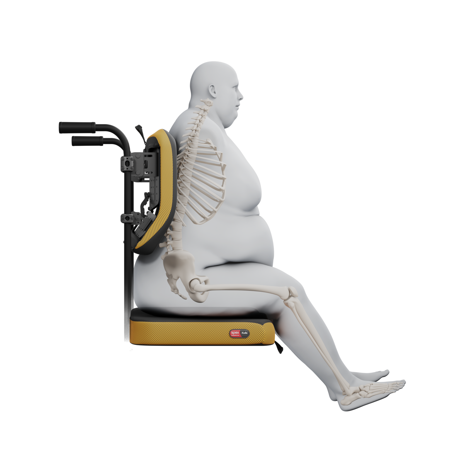 spex_xlella2_back_support_render_2-medium