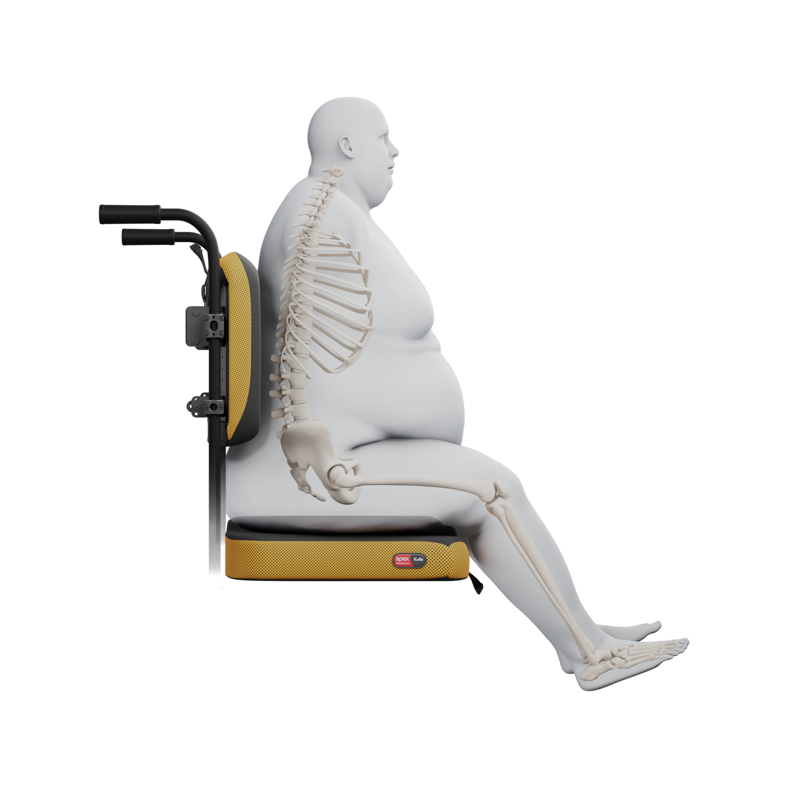 spex_xlella_vigour_back_support_render_2-medium