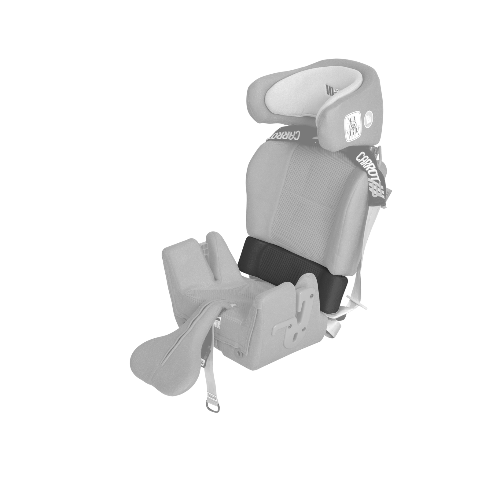 Carrot-3000-Back-Extension-100mm-2-Ghosted-medium