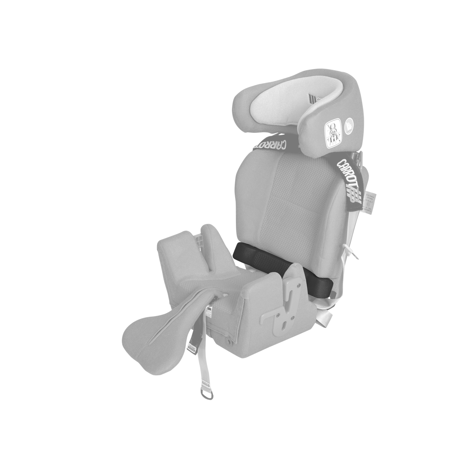 Carrot-3000-Back-Extension-50mm-2-Ghosted-medium