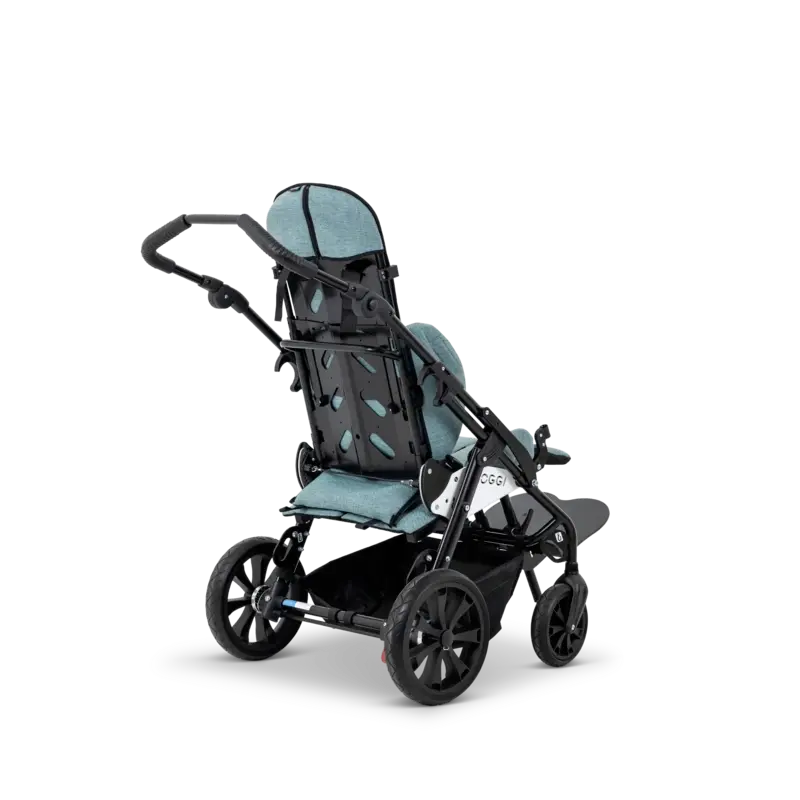 Agile and Maneuverable