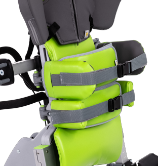 Trunk Support Options