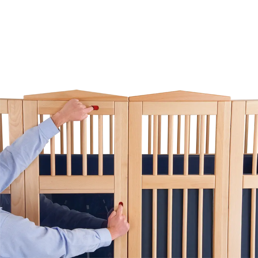 Unique Opening Door System