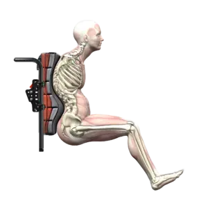 Spex-SuperShape-Render-Lordosis-1