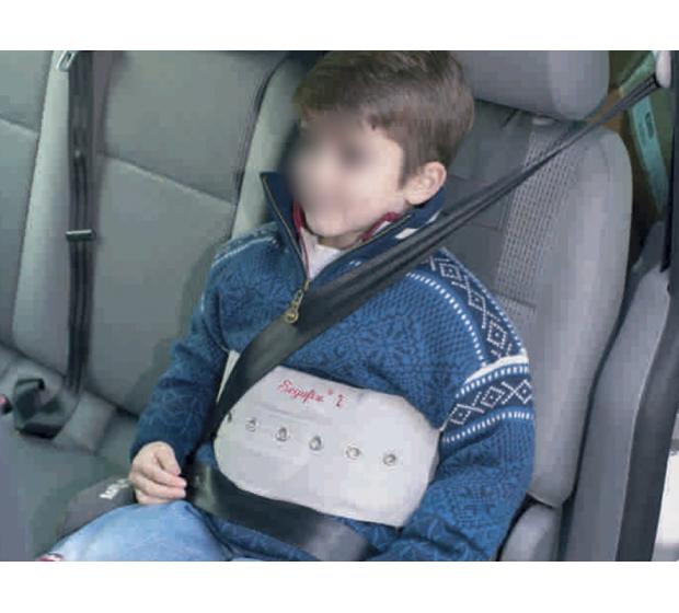 Vehicle harness challenging behaviour autistic children